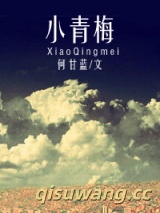 小青梅（作者：何甘蓝）小说