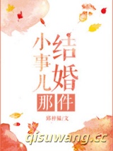 结婚那件小事儿小说