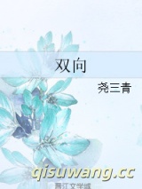 双向小说