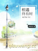 相遇终有时小说
