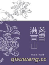 落雪满南山小说