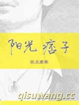 阳光痞子小说