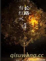 长路有灯火小说