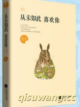 从未如此喜欢你小说