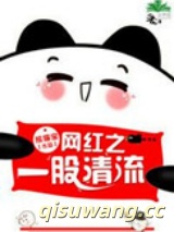 网红之一股清流小说