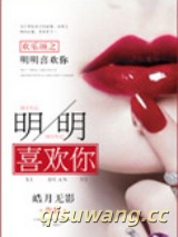 欢乐颂之明明很爱你小说