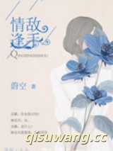 情逢敌手小说
