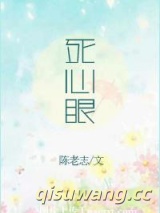 死心眼小说