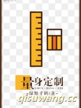 量身定制小说