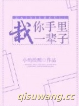 栽你手里一辈子小说