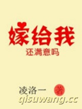 嫁给我还满意吗小说