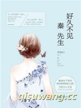好久不见，秦先生小说
