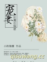 宠妻狂魔住隔壁小说