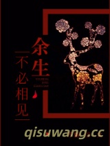 余生不必相见小说