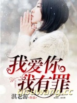 我爱你，我有罪小说