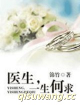 医生，一生何求小说