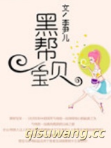 黑帮宝贝小说