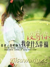 没有你我拿什么幸福小说