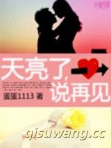 天亮了，说再见小说