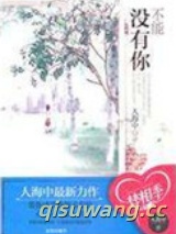 不能没有你小说