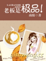 老板是极品小说