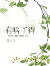 有啥了得小说