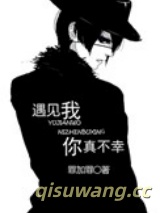 遇见我，你真不幸小说
