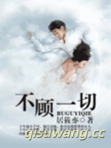 不顾一切小说