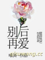 别后再爱小说
