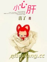 小心肝小说