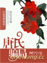 唐氏骗局小说