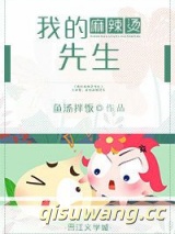 我的麻辣烫先生小说