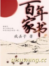 百年家书小说
