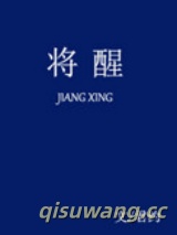 将醒小说