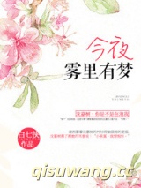 今夜雾里有梦小说