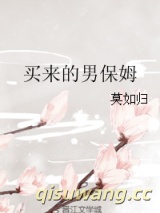 买来的男保姆小说