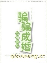 骗骗成婚小说