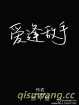 爱逢敌手小说