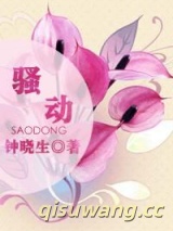 骚动（你好，前任先生）小说