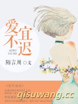 爱不宜迟小说