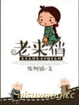 老来俏小说