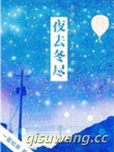 夜去冬尽小说