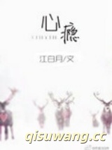 心瘾小说