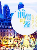 前情可鉴（娱乐圈）小说