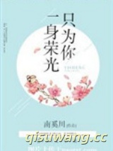 一身荣光只为你小说