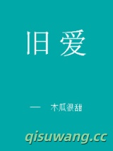 旧爱小说
