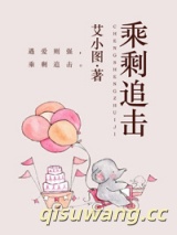 乘剩追击小说