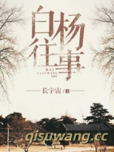 白杨往事小说