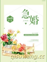 急婚小说