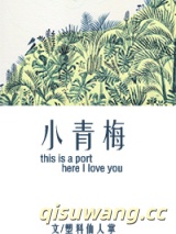 小青梅小说